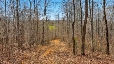 0 Herman Adams Road Cumberland City TN 37050