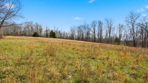 0 Herman Adams Road Cumberland City TN 37050