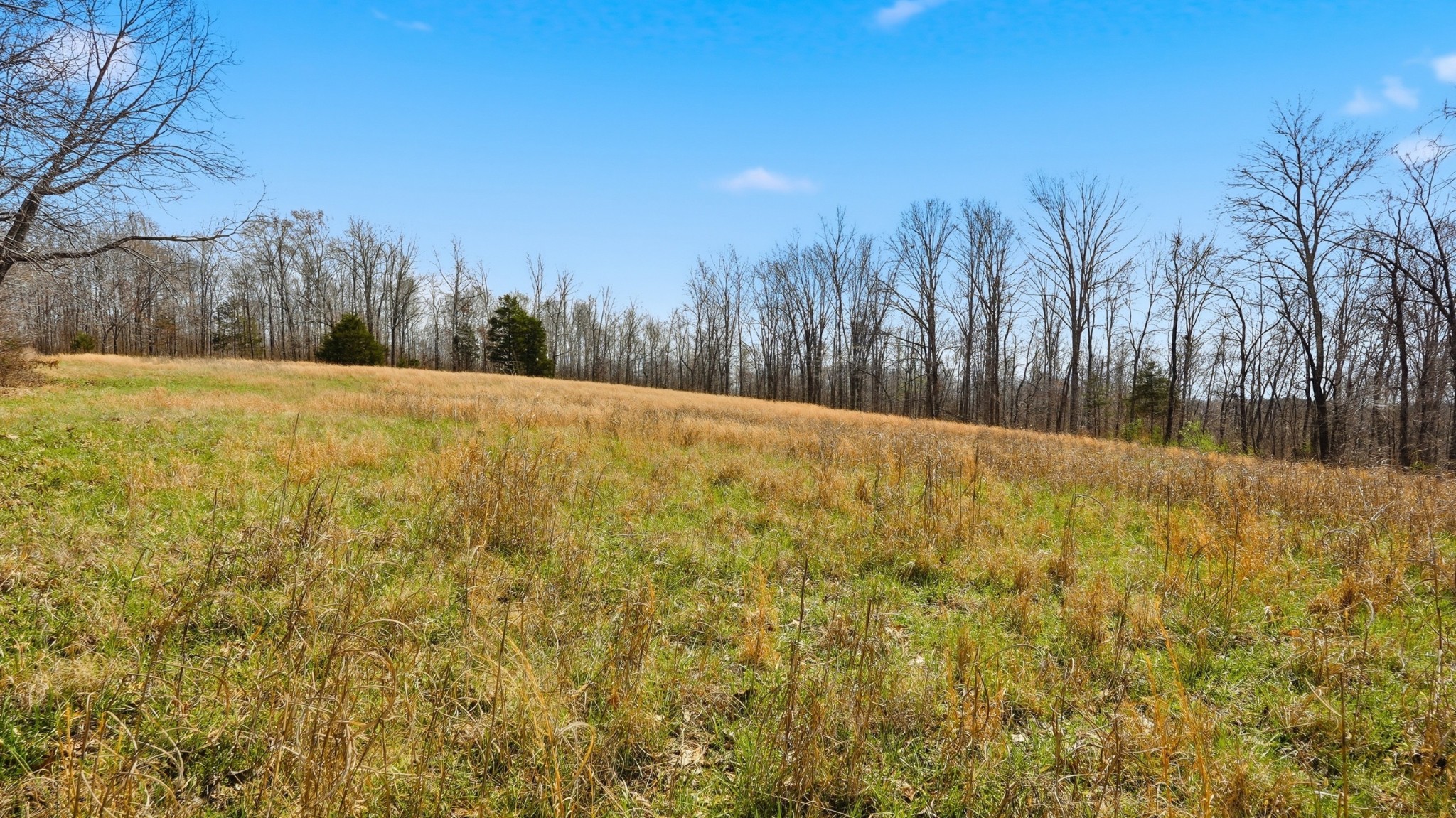 0 Herman Adams Road Cumberland City TN 37050