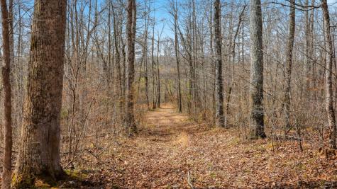 0 Herman Adams Road Cumberland City TN 37050