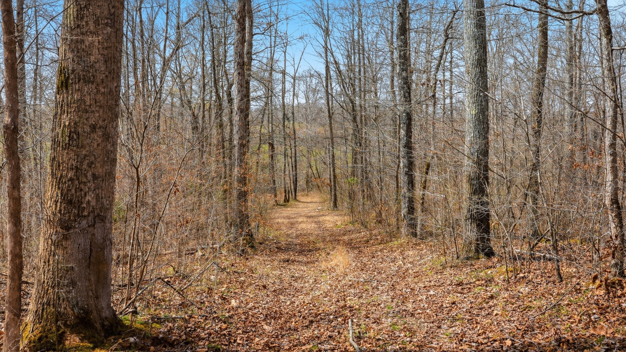 0 Herman Adams Road Cumberland City TN 37050