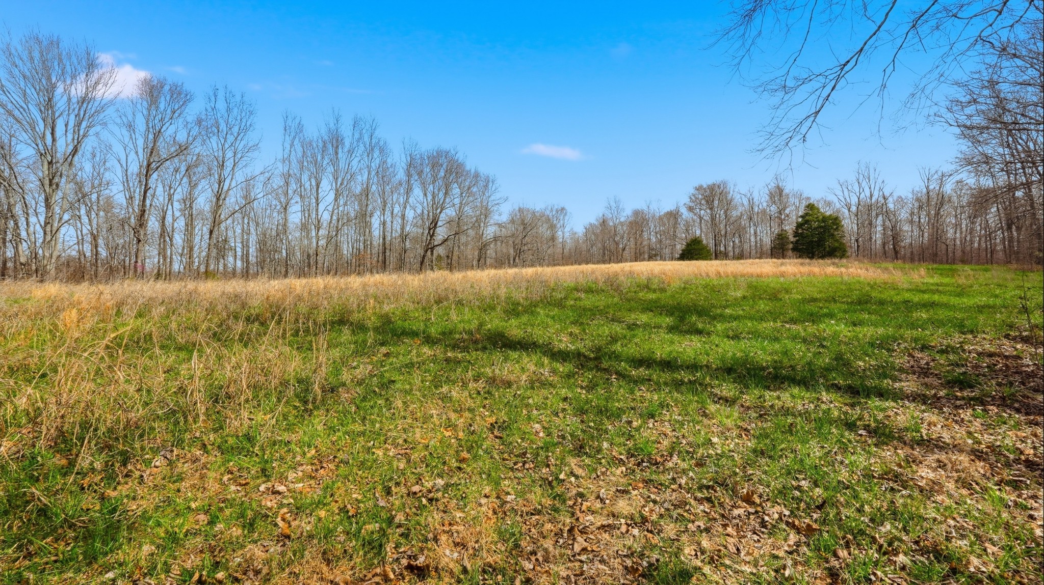 0 Herman Adams Road Cumberland City TN 37050