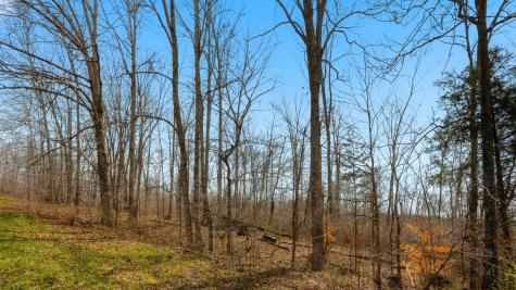 0 Herman Adams Road Cumberland City TN 37050