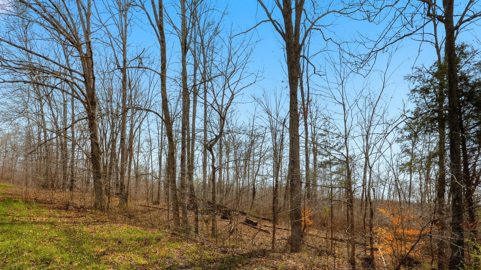 0 Herman Adams Road Cumberland City TN 37050
