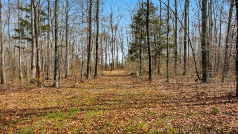 0 Herman Adams Road Cumberland City TN 37050