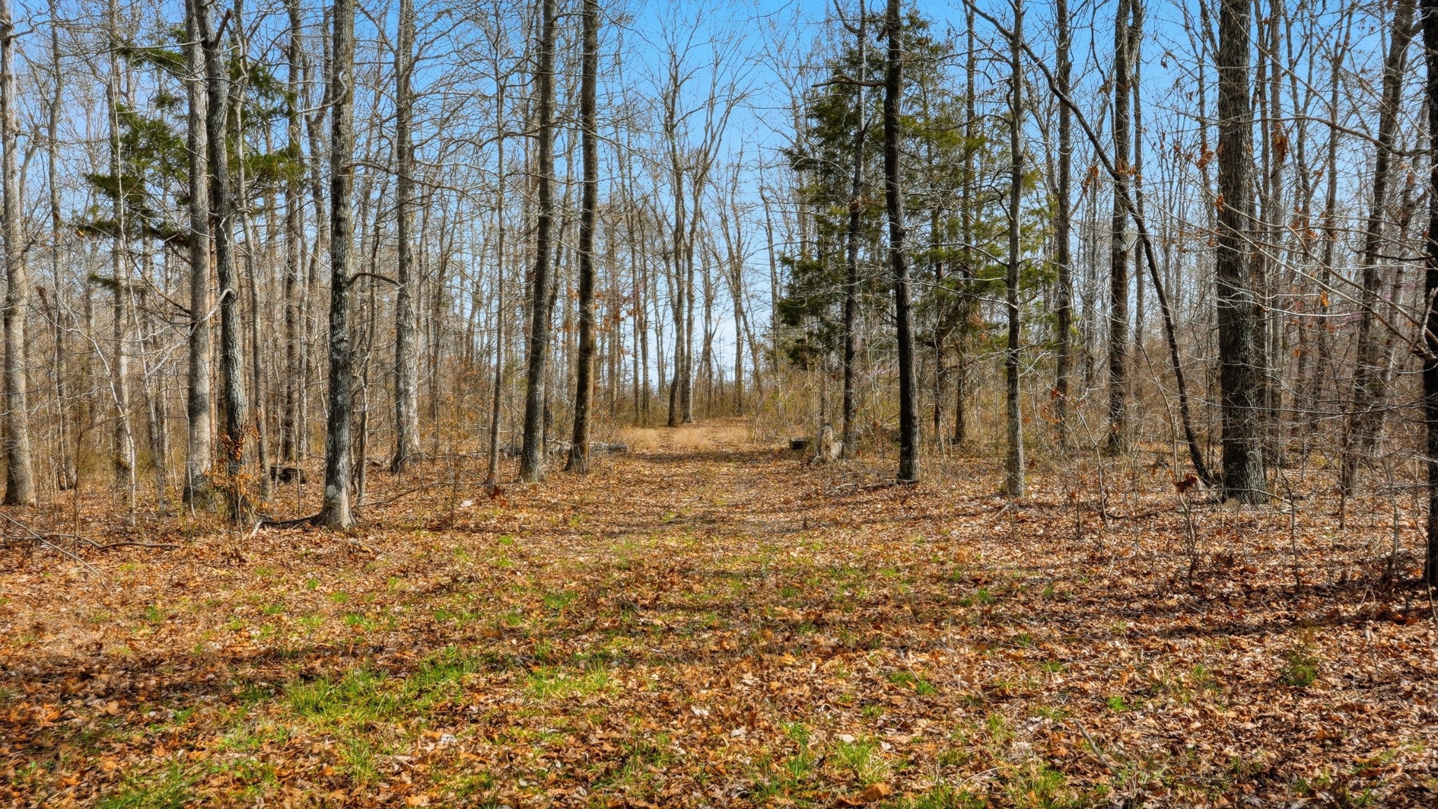 0 Herman Adams Road Cumberland City TN 37050