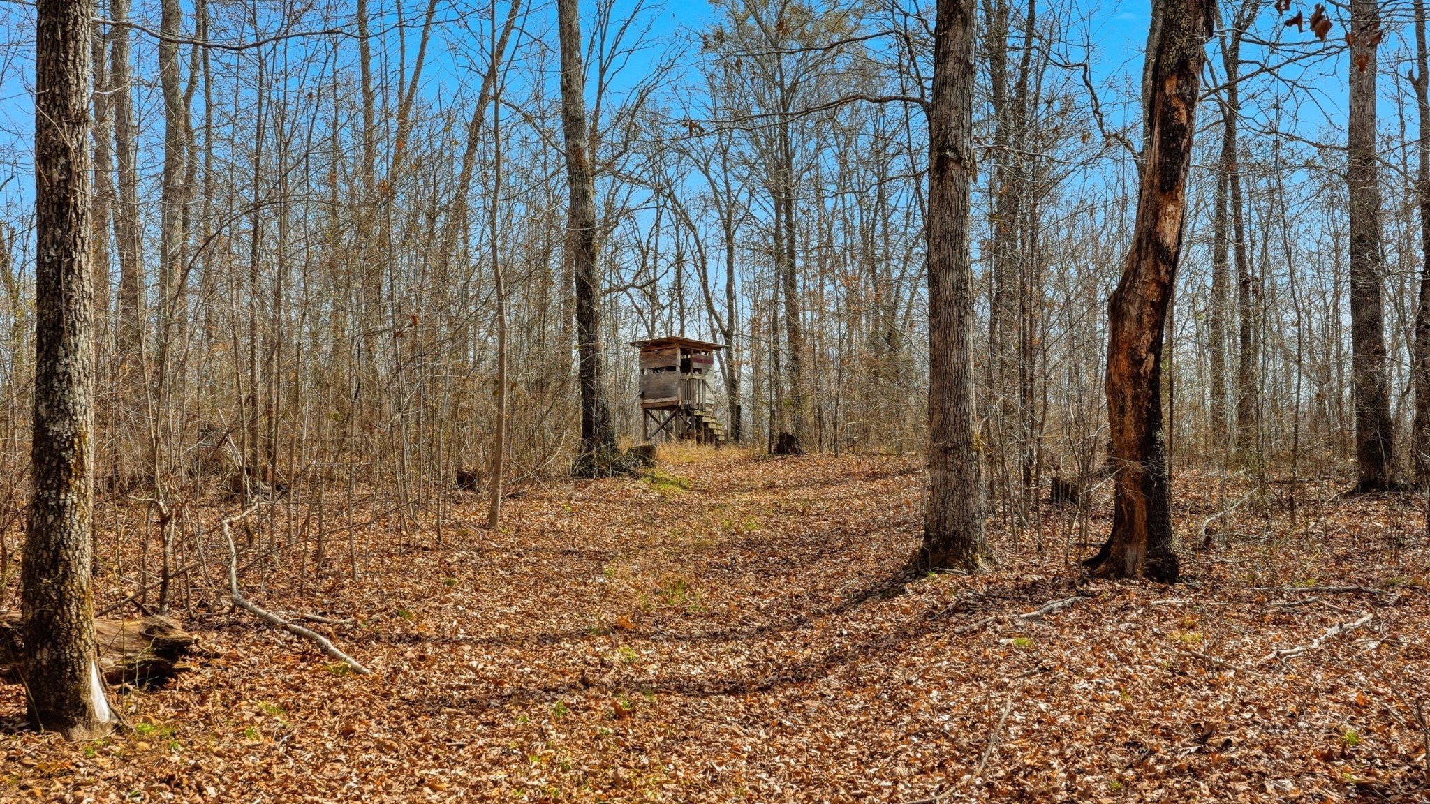 0 Herman Adams Road Cumberland City TN 37050