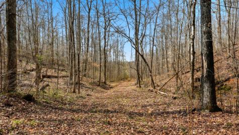 0 Herman Adams Road Cumberland City TN 37050
