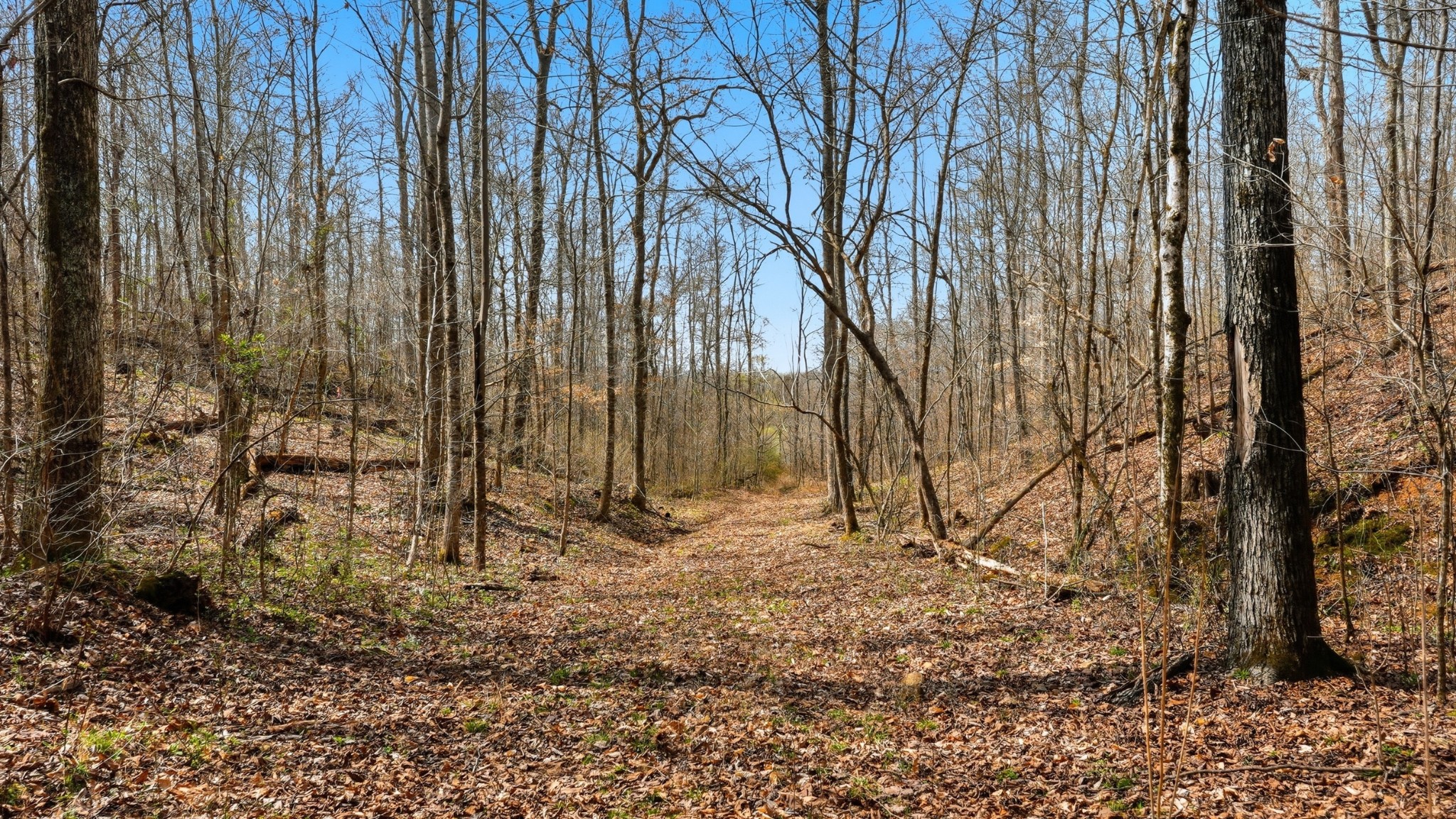 0 Herman Adams Road Cumberland City TN 37050
