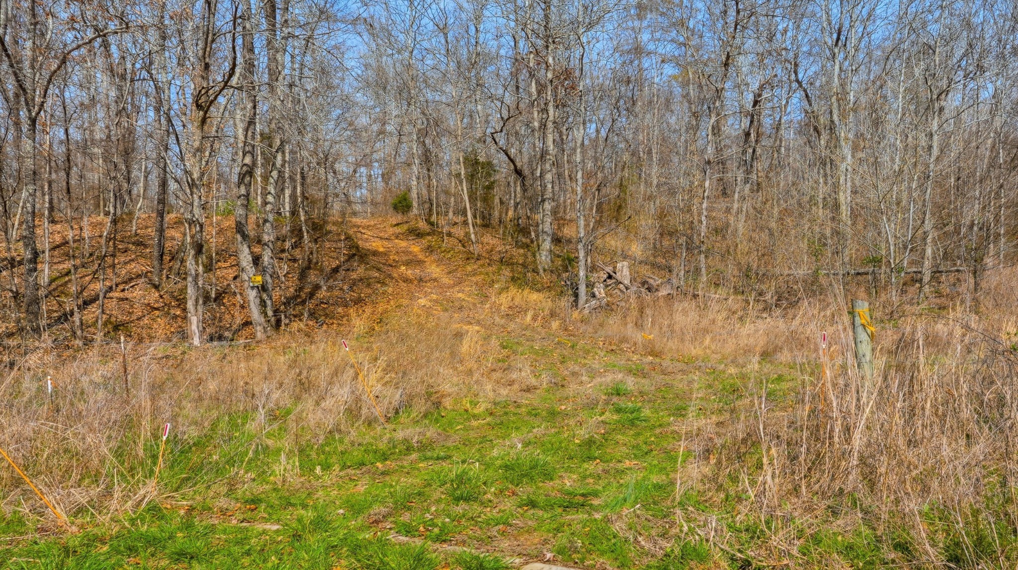0 Herman Adams Road Cumberland City TN 37050