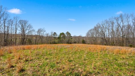 0 Herman Adams Road Cumberland City TN 37050