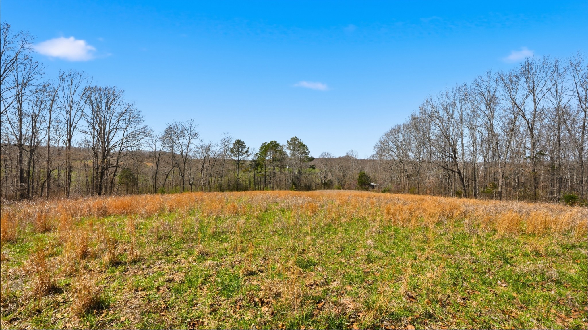 0 Herman Adams Road Cumberland City TN 37050