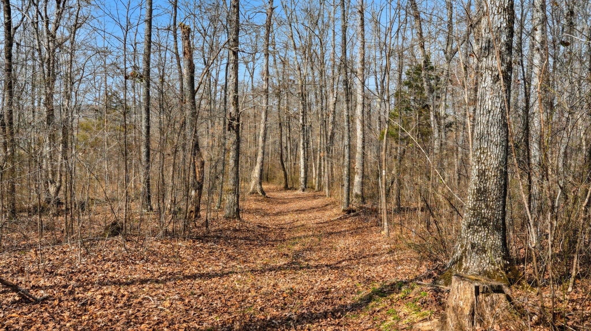 0 Herman Adams Road Cumberland City TN 37050