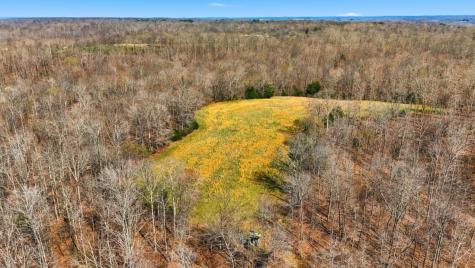 0 Herman Adams Road Cumberland City TN 37050