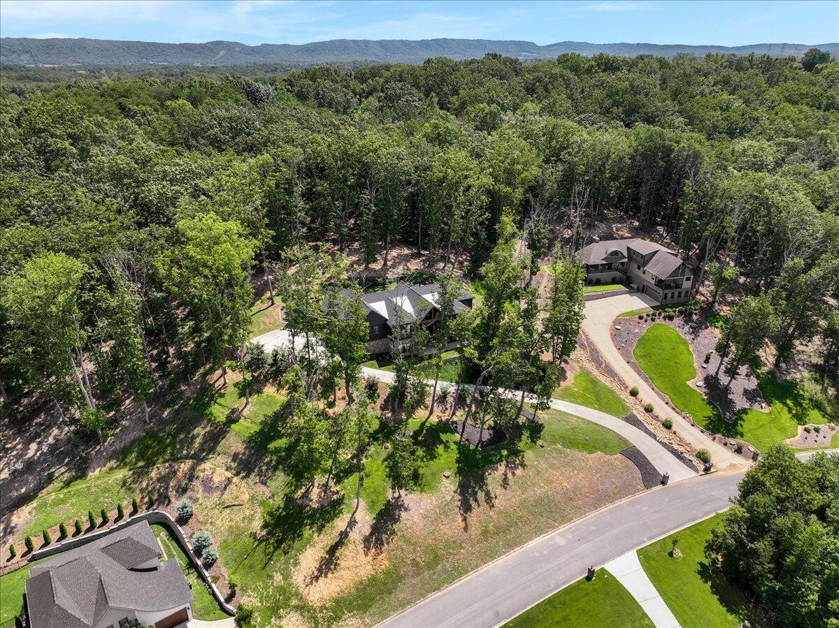 9934 Caseview Drive Harrison TN 37341