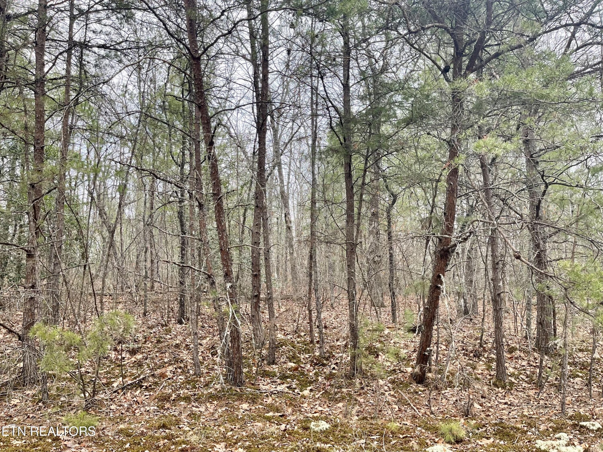 327 Bainbridge Road Crossville TN 38558