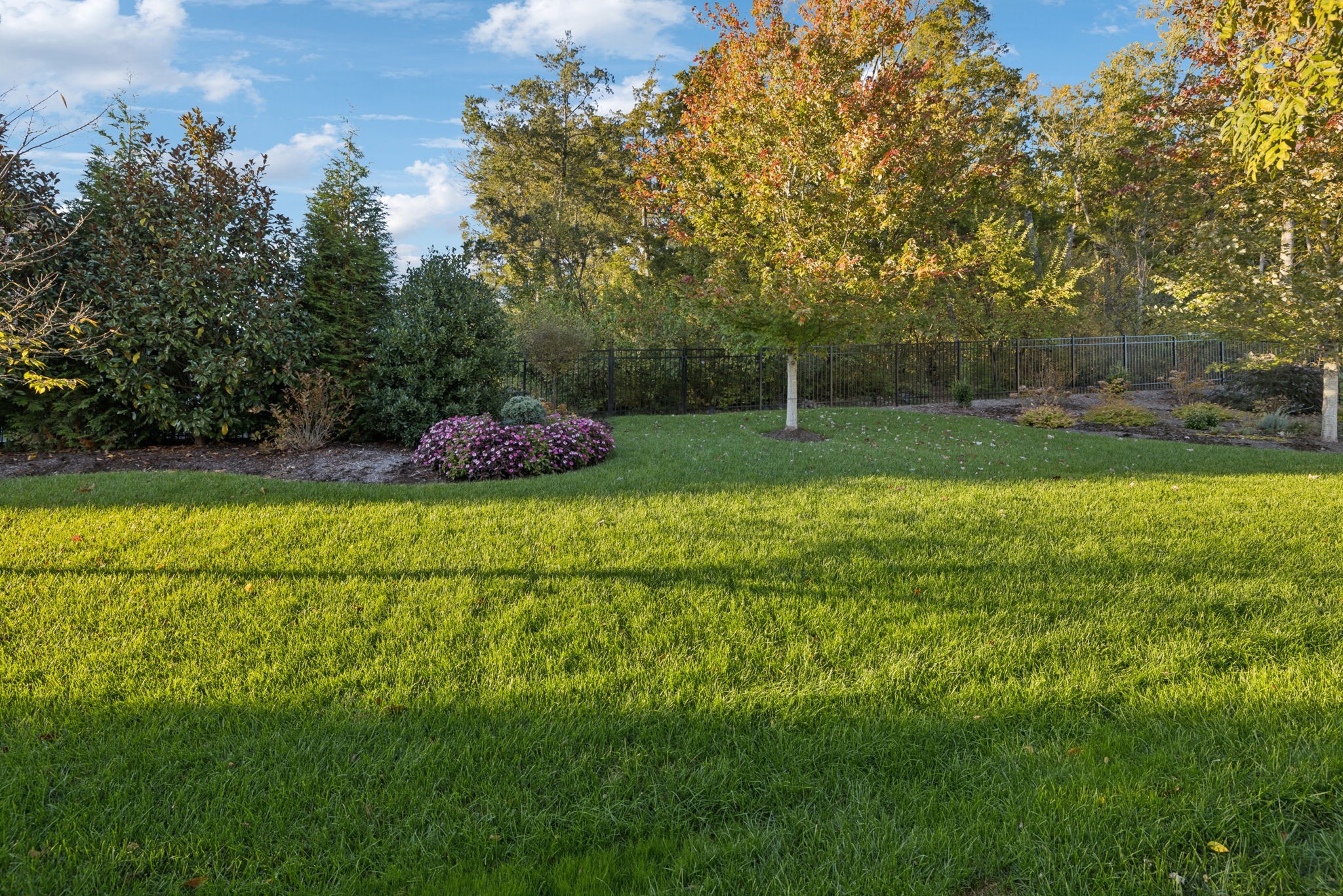 2420 Los Olivos Court Franklin TN 37069
