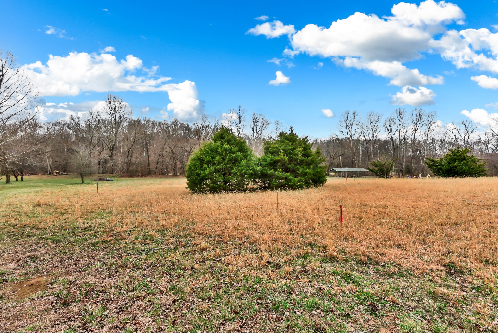 2170 Highway 13 Cunningham TN 37052