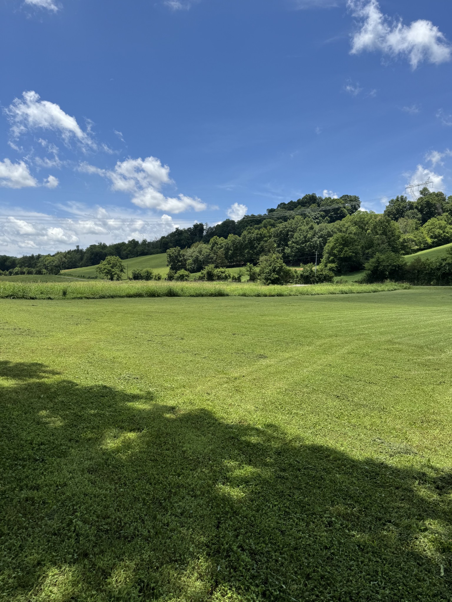 386 Cathcart Frankewing TN 38459