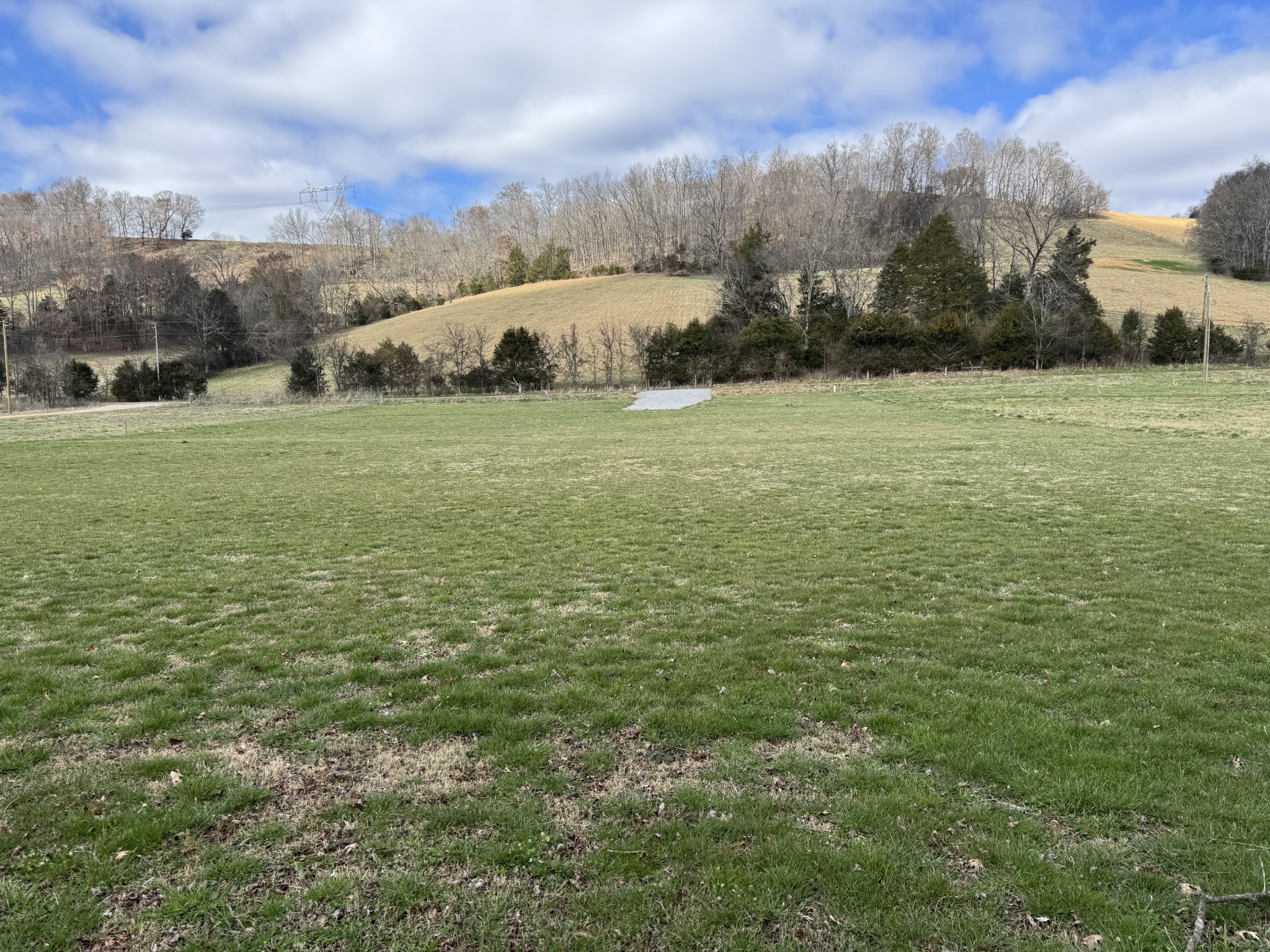 386 Cathcart Frankewing TN 38459