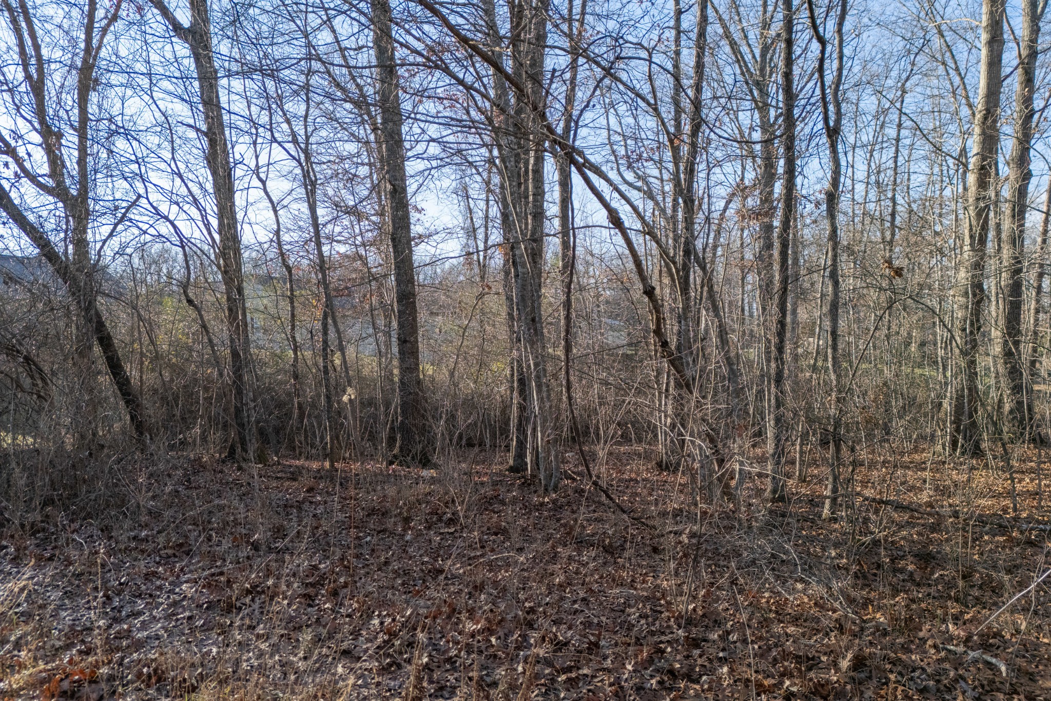 0 Satsuma Drive Crossville TN 38555