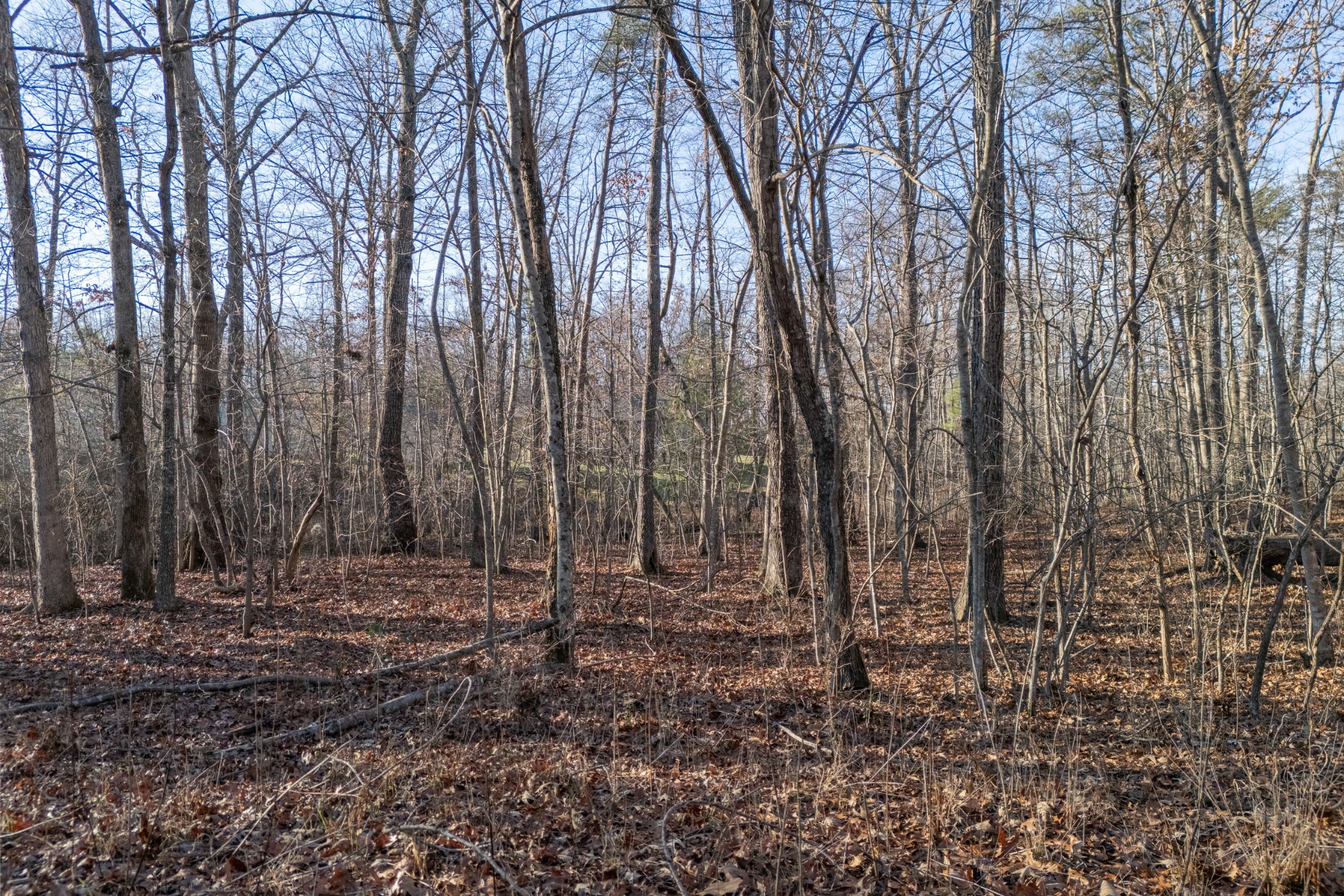 0 Satsuma Drive Crossville TN 38555