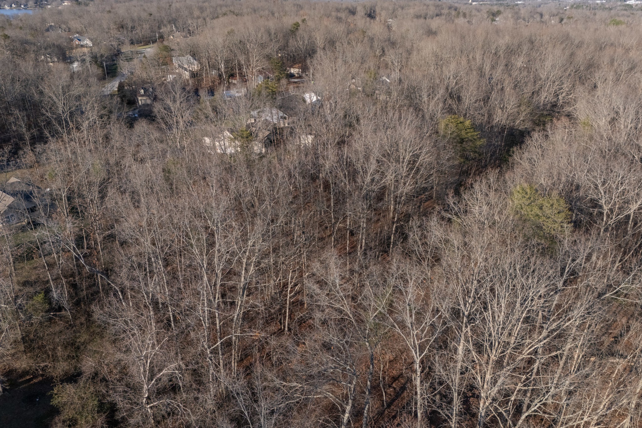 0 Satsuma Drive Crossville TN 38555