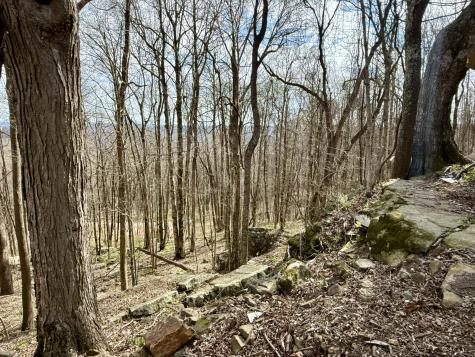 3174 Gap Road Altamont TN 37301