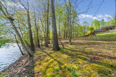 143 Saline Trail Dover TN 37058