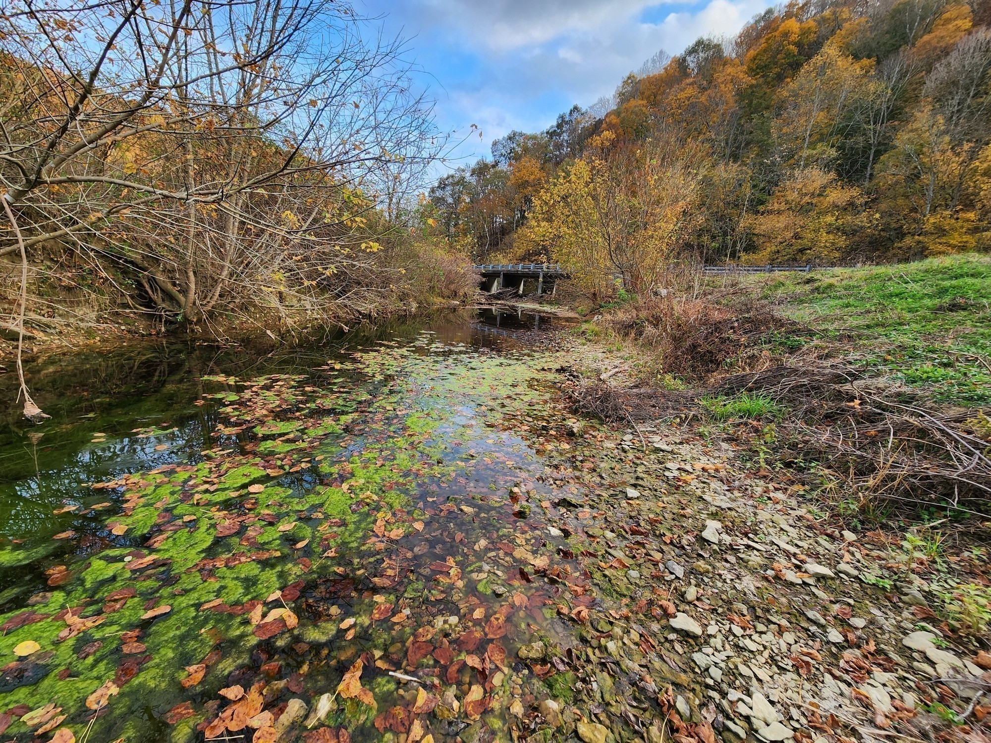 221 Pine Lick Estates Drive Whitleyville TN 38588