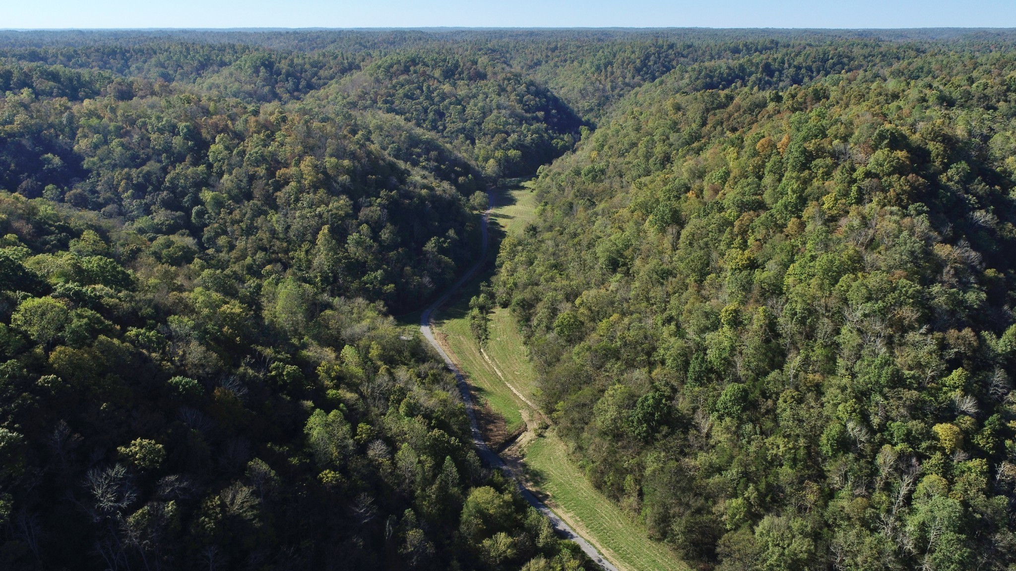 221 Pine Lick Estates Drive Whitleyville TN 38588
