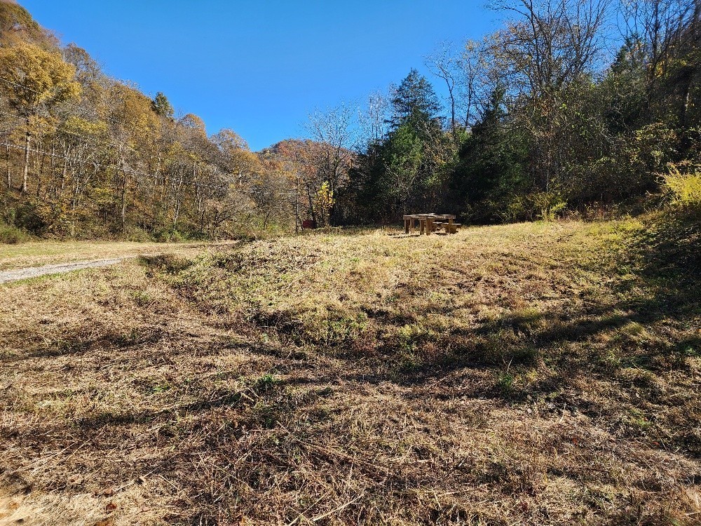 221 Pine Lick Estates Drive Whitleyville TN 38588