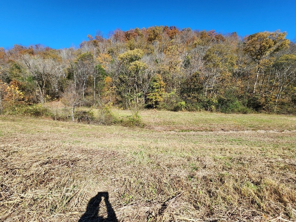 221 Pine Lick Estates Drive Whitleyville TN 38588