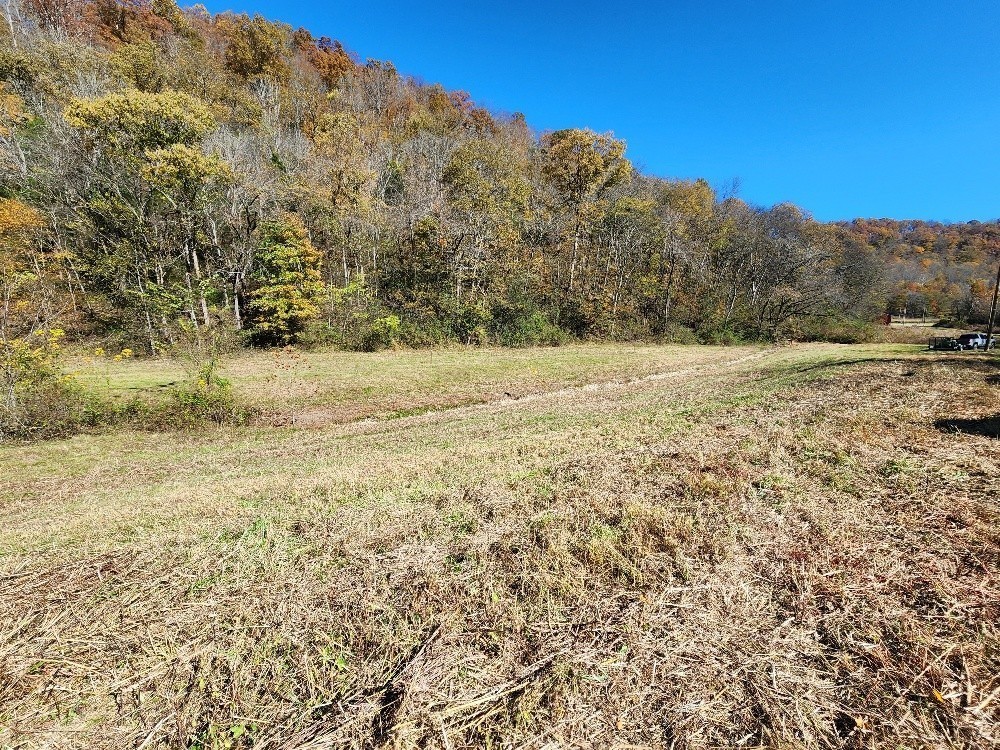 221 Pine Lick Estates Drive Whitleyville TN 38588