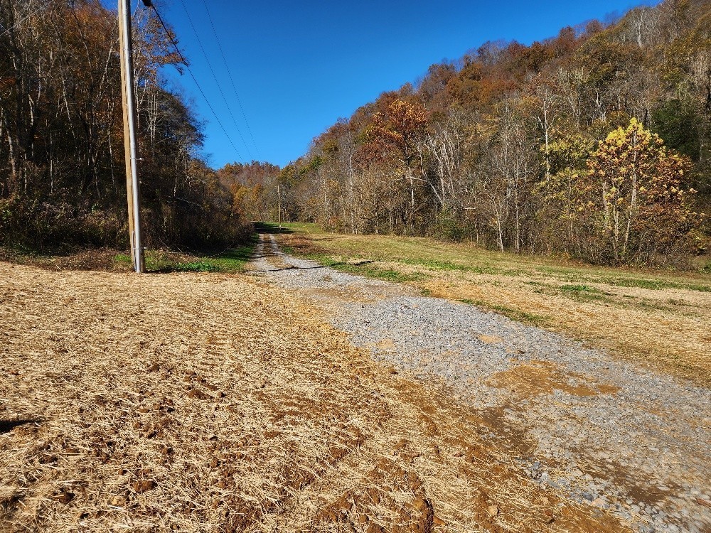 221 Pine Lick Estates Drive Whitleyville TN 38588