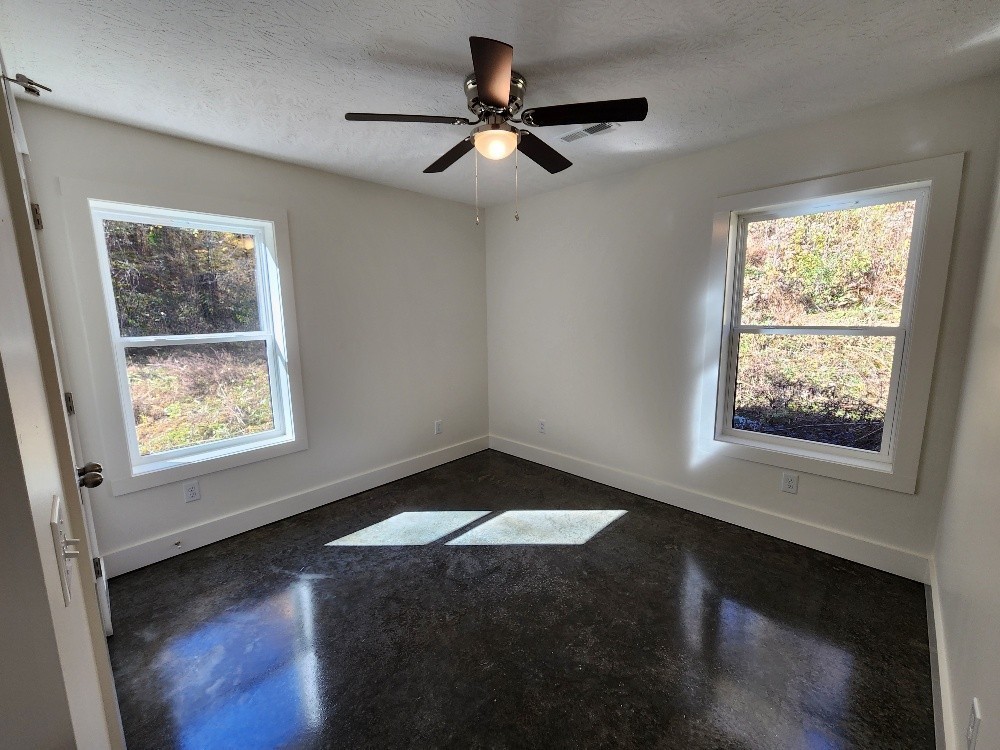 221 Pine Lick Estates Drive Whitleyville TN 38588