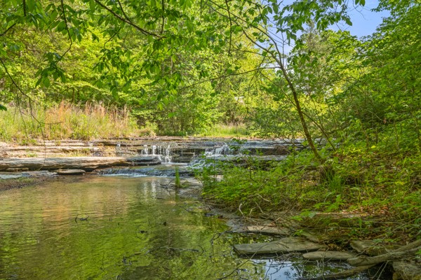 1240 Tanner Hollow Road Centerville TN 37033