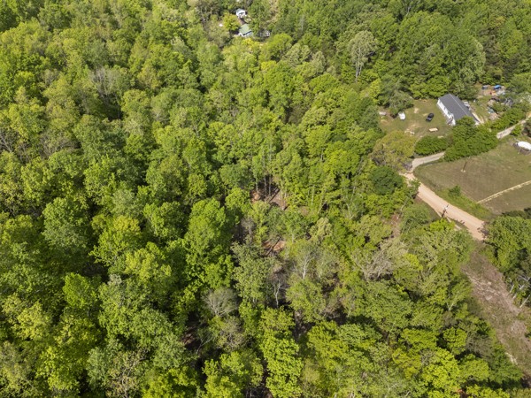 1240 Tanner Hollow Road Centerville TN 37033