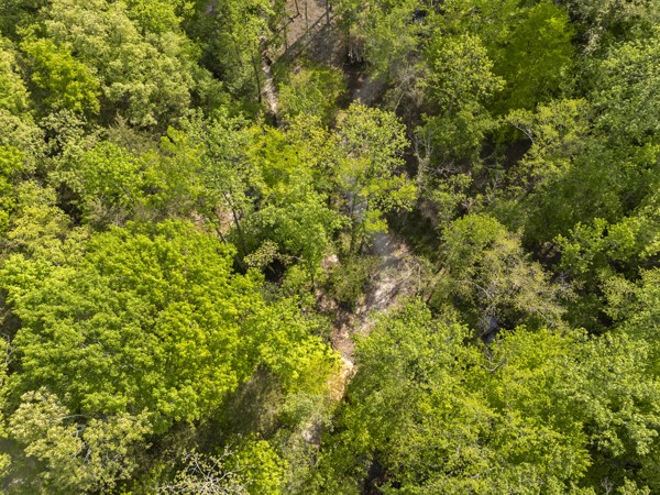 1240 Tanner Hollow Road Centerville TN 37033