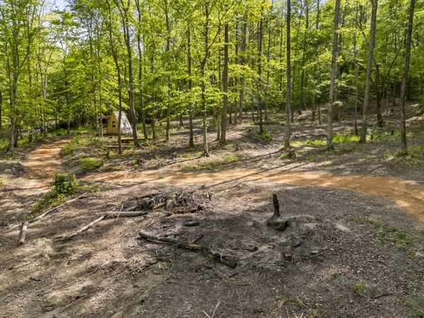 1240 Tanner Hollow Road Centerville TN 37033