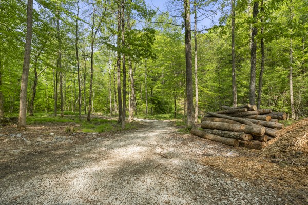 1240 Tanner Hollow Road Centerville TN 37033
