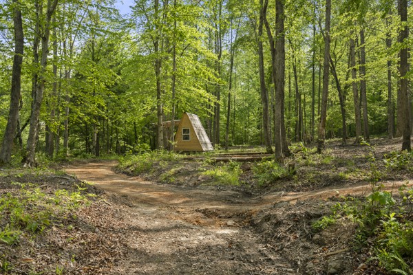 1240 Tanner Hollow Road Centerville TN 37033