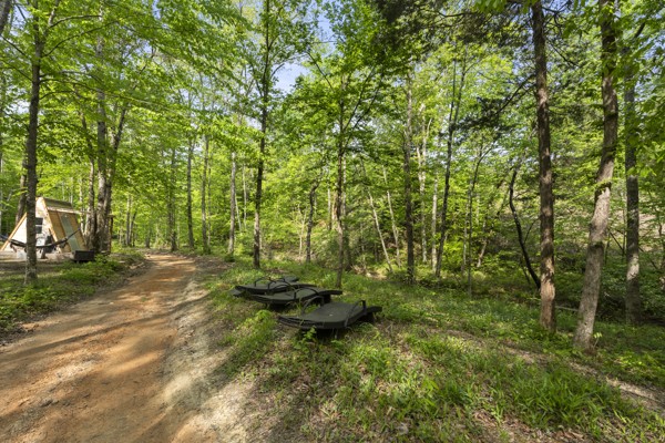 1240 Tanner Hollow Road Centerville TN 37033