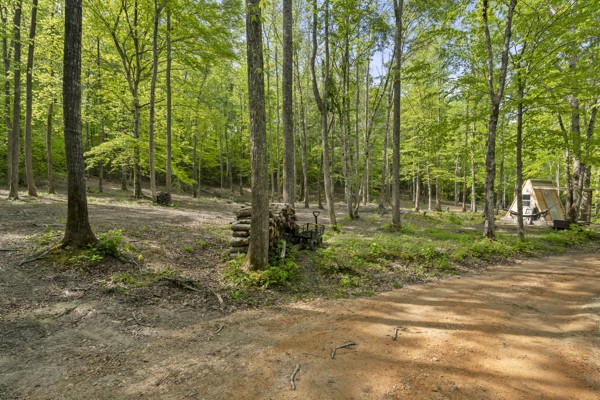1240 Tanner Hollow Road Centerville TN 37033