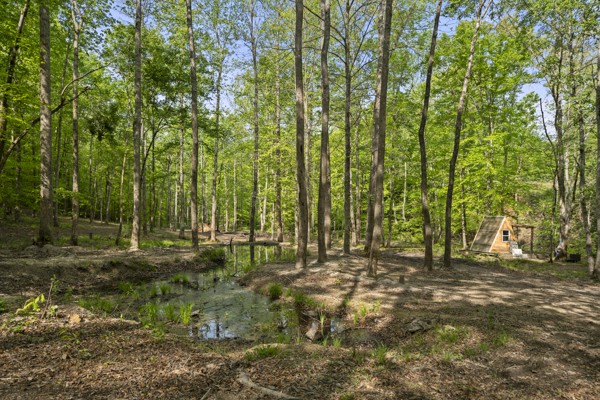 1240 Tanner Hollow Road Centerville TN 37033
