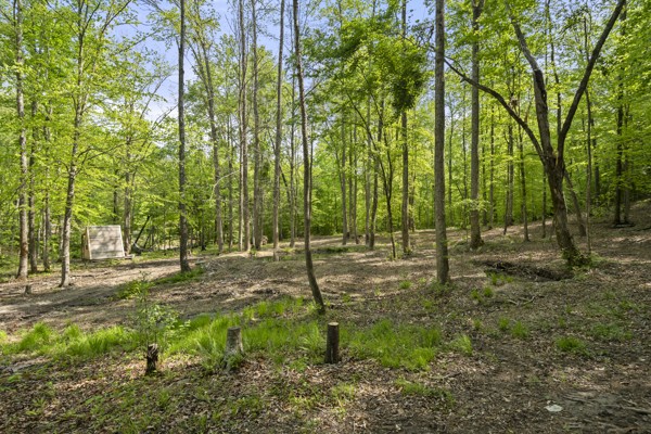 1240 Tanner Hollow Road Centerville TN 37033