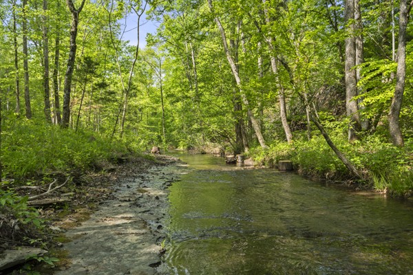 1240 Tanner Hollow Road Centerville TN 37033
