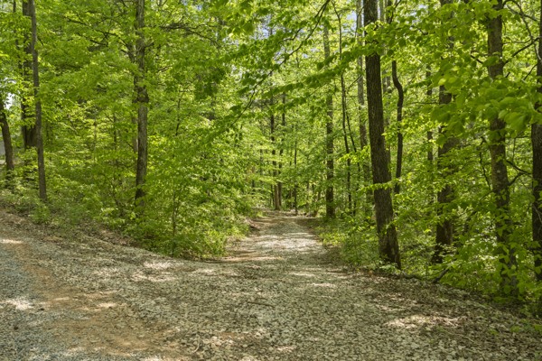 1240 Tanner Hollow Road Centerville TN 37033