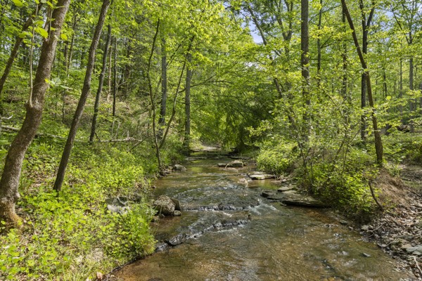 1240 Tanner Hollow Road Centerville TN 37033