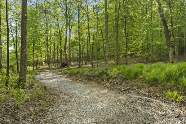 1240 Tanner Hollow Road Centerville TN 37033